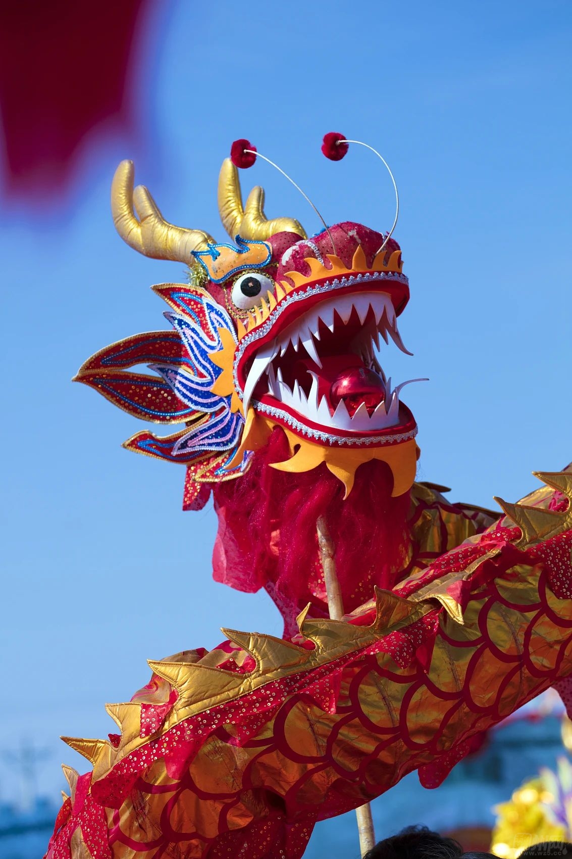 今日二月二,龙抬头!