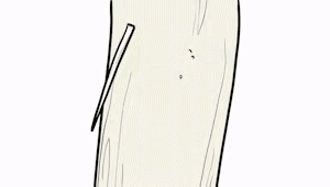20250513142009front2_0_217161_FoR_C0ungKG9g2CaYpoEnBPOLxFw.gif